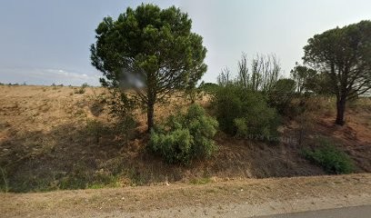 Quatre Pattes Et Vous, Dresseur de Chiens à Perpignan