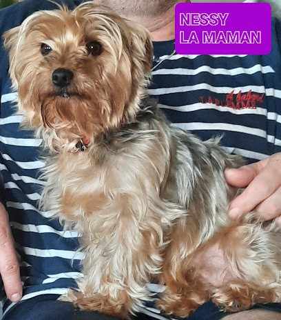 L'élevage dans un coin de paradis, Eleveur de Chiens à Saint-André-de-Chalencon