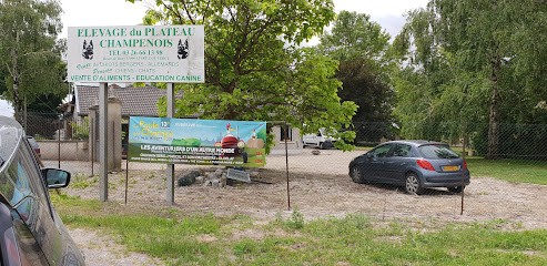 Chenil Du Plateau Champenois, Pension pour Chiens à Livry-Louvercy