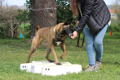 Cani'schola Dresseur De Chiens à Nîmes