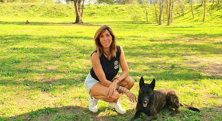 Patoune Canine 🐾 Dresseur De Chiens à Vence