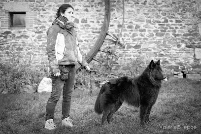 EVEIL CANIN (ex Great Anim's), Dresseur de Chiens à Scientrier