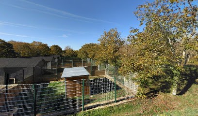 Domaine Du Bas Sénelais, Pension pour Chiens à Tiercé