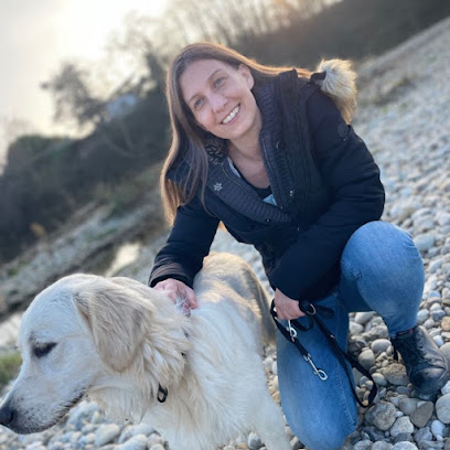 Toutou Dans Les Pattes Pension Pour Chien à Miremont