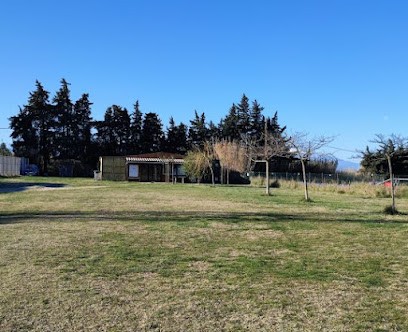 Club Canin Saint Cyprien, Dresseur de Chiens à Saint-Cyprien