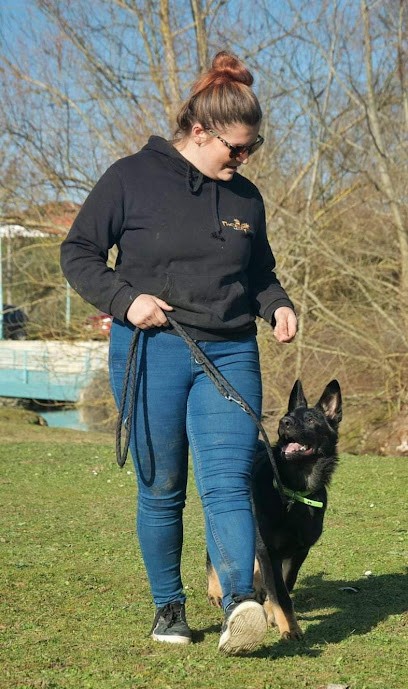 Education Canine 82 Laura Duchosal, Dresseur de Chiens à Valence