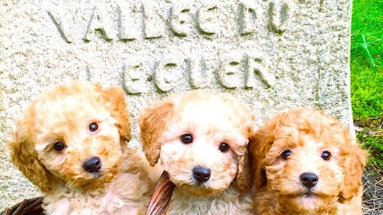 Elevage Vallée Du Léguer EARL, Eleveur de Chiens à Plounévez-Moëdec