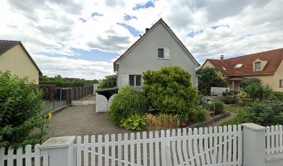 norwich terrier dk, Eleveur de Chiens à Algolsheim