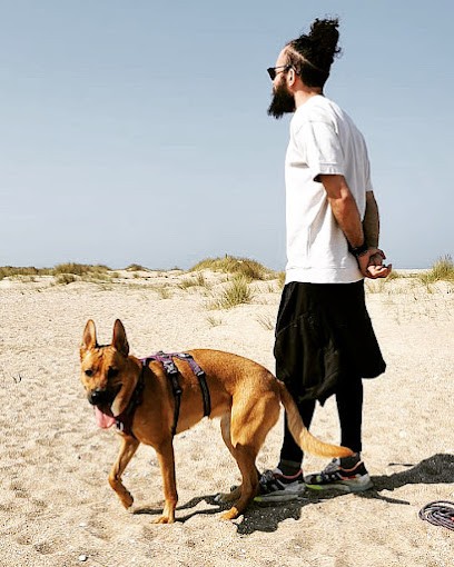 Woufï - Education, Formation & Comportement Canin - Yonne 89, Dresseur de Chiens à Villeneuve-la-Dondagre