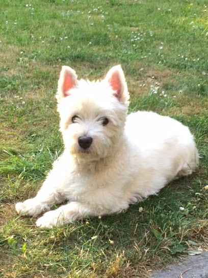 boudlal florence, Pension pour Chiens à Oissy