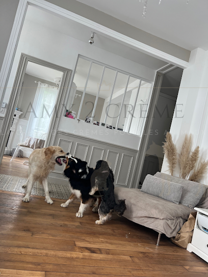 Pension Pour Chiens Blaye - Amy 2 Crème, Pension Pour Chien à Saint-Androny