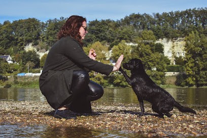 Cani'coach Malin - Éducatrice Comportementaliste Canin, Dresseur de Chiens à Monnaie