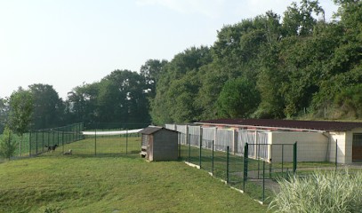 Pension Canine Los Pelluts, Pension pour Chiens à Arzacq-Arraziguet