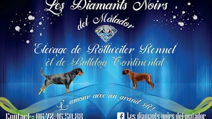 Les Diamants Noirs Del Matador Elevage De Rottweiler Et Bulldog Continental, Eleveur de Chiens à Vic-la-Gardiole
