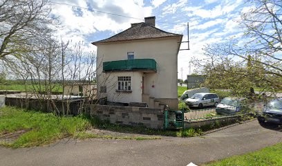 Famillydog, Pension pour Chiens à Richemont