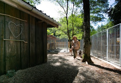 Pension Canine de Cameillac, Pension pour Chiens à Léogeats