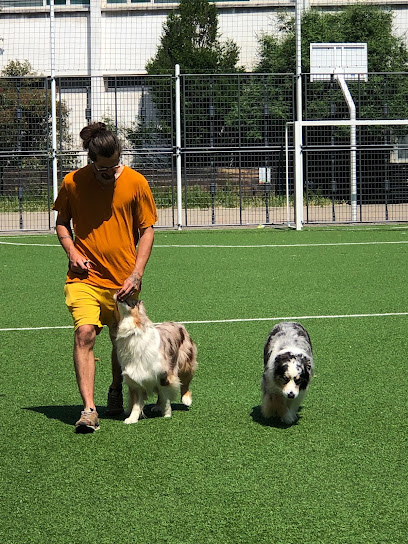 Yann Training - Éducateur Canin & Pet Sitter Dresseur De Chiens à Villeurbanne