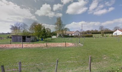 Elevage Berger Australien Des Ribaudries, Eleveur de Chiens à Nonant-le-Pin