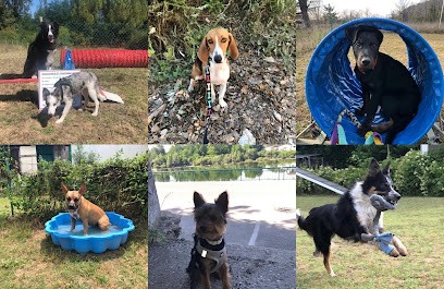 Au Coeur Des Pattes, Dresseur de Chiens à Saint-Alexandre
