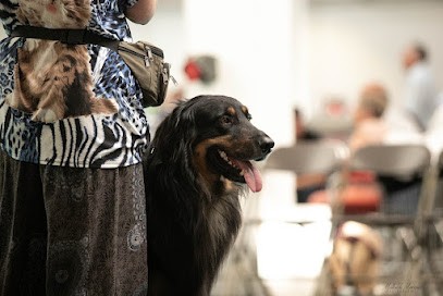 Matata Des Dunes, Eleveur de Chiens à Torpes