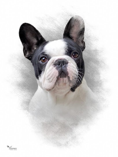 Bouledogues français d'Iskandar, Eleveur de Chiens à Saint-Léger-Magnazeix