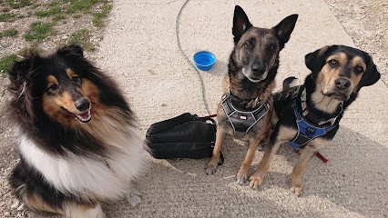 Animal Serenity, Dresseur de Chiens à Ventabren