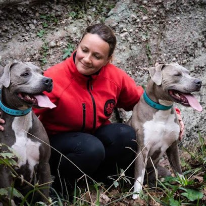EDUC PATTES Comportementaliste Canin - Educateur Canin - Pension Canine - Pension Féline, Dresseur de Chiens à Mutzig