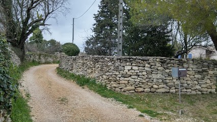 LES BEDLINGTON DU KINKAJOU, Eleveur de Chiens à Saint-Quentin-la-Poterie