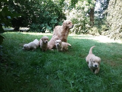 Elevage Des Berberis, Pension Canine, Education Canine, Eleveur de Chiens à Barville