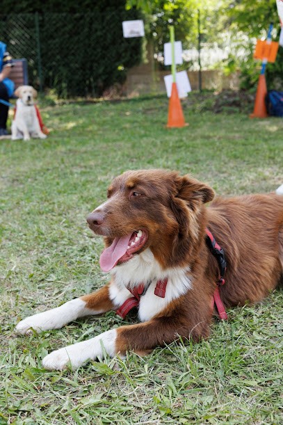 Domaine De La Roche Du Loup Pension éducation, Pension pour Chiens à Saint-Nabord