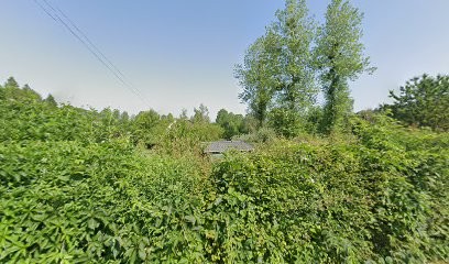 Patrix Marguerite, Eleveur de Chiens à Saint-Hellier