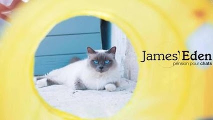 Pension Garderie James Eden, Pension pour Chiens à Tourves