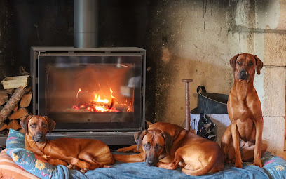 Nzuri Naweh, Éleveur De Chiens à Tercis-les-Bains