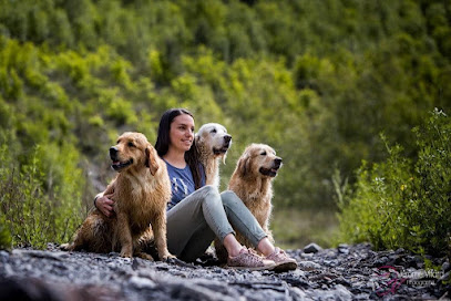 Chez Nanette Pension Pour Chien à Laval-Pradel