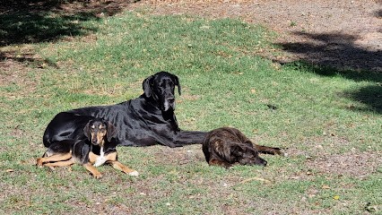 Chenil de la Truffe Noire, Pension pour Chiens à Mérindol