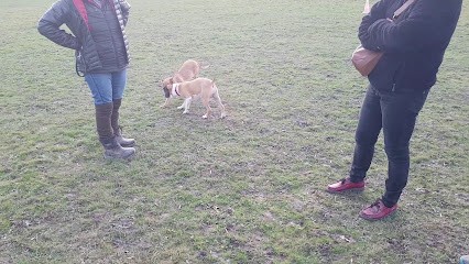Canis CP, Dresseur de Chiens à Pau