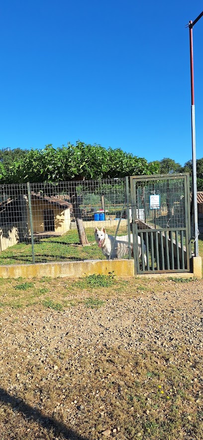 Pension Lutèce, Pension Pour Chien à Béziers