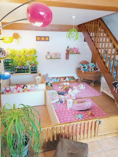 Elevage de Bichon Frisé de la Felhotte, Eleveur de Chiens à Xertigny