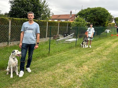 Rog'Company : Éducateur Comportementaliste Canin, Dresseur de Chiens à Moreuil