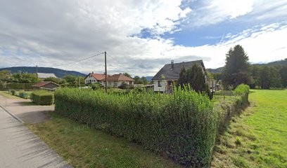 Dans La Tête De Vos Chiens, Dresseur de Chiens à Saint-Amé