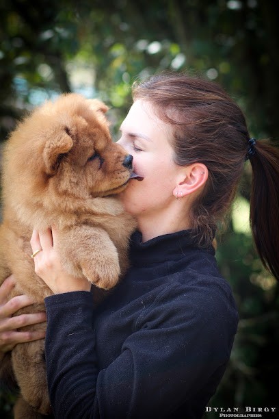 ELEVAGE DE LA RIVE DE GLOVERTOWN, Eleveur de Chiens à Ramouzens