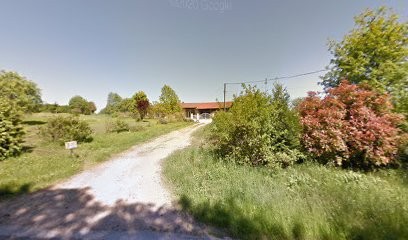 Elevage Du Mont D'alesia, Eleveur de Chiens à Dommartin-lès-Cuiseaux