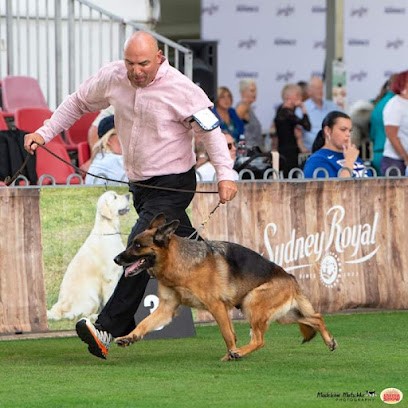 Elevage du lamentin, Eleveur de Chiens à Belz