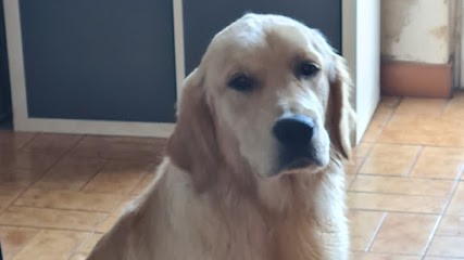 Elevage Du Joli Bois, Eleveur de Chiens à Saint-Christophe-en-Bresse