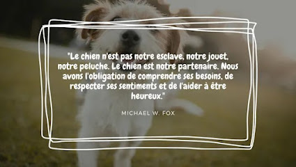 Le Champ Des Paw'ssibles Dresseur De Chiens à Cuise-la-Motte