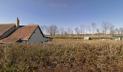 1 Élevage Quentin’s Touch - Cairn Terrier & Westie, Eleveur de Chiens à Essay