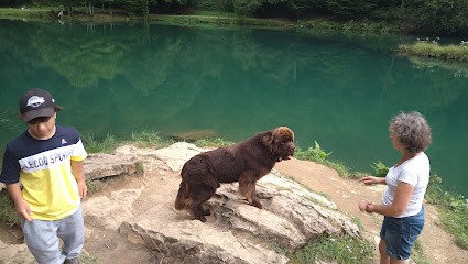 Terre neuve de l'Océan des Rêves, Eleveur de Chiens à Jardin