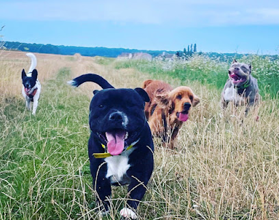 Educ Eternity Dogs, Dresseur De Chiens à Chenoise-Cucharmoy
