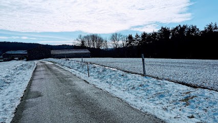 Formule Canine, Eleveur de Chiens à Sauvessanges