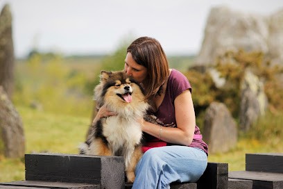 Happy Dogs Therapy - Educateur, comportementaliste et masseur canin, Dresseur de Chiens à Mohon